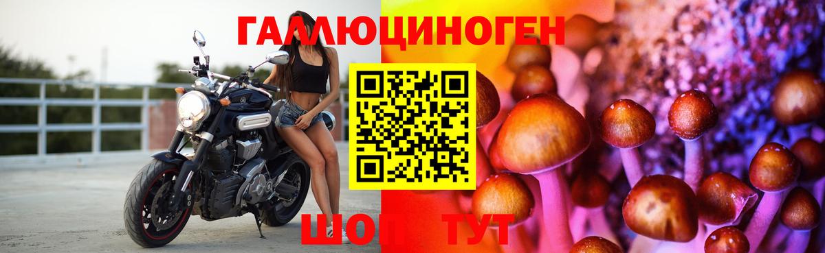 Псилоцибиновые грибы MAGIC MUSHROOMS  Вход с VPN  Ирбит 